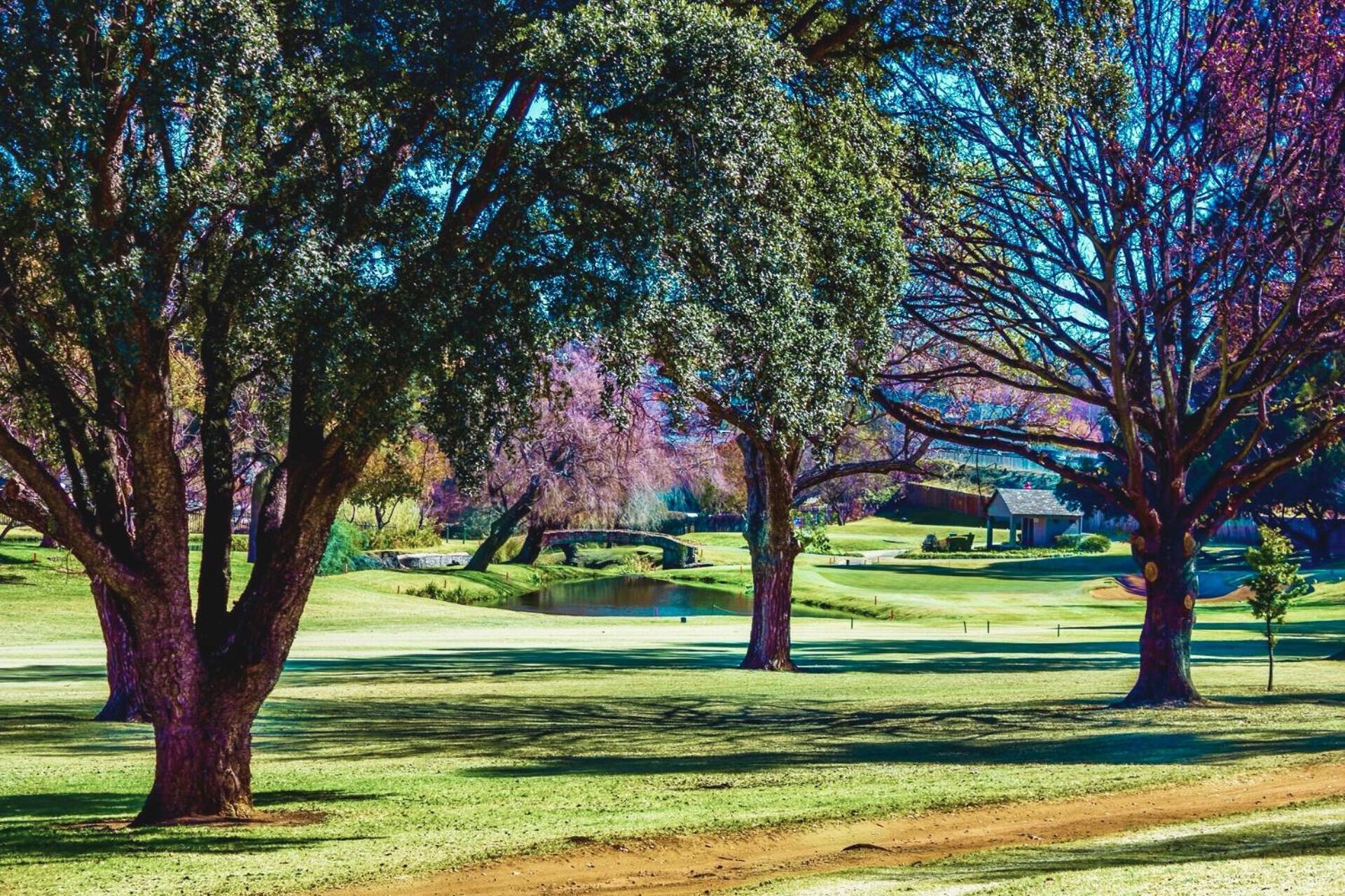 Glendower View Guest House Edenvale Exterior foto